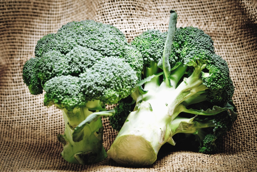 Alimentazionesalutare Alimentazionesalutare